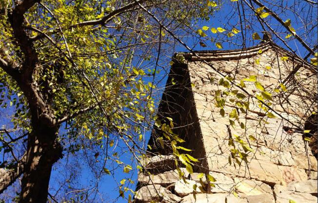 QQ截图20160815100643