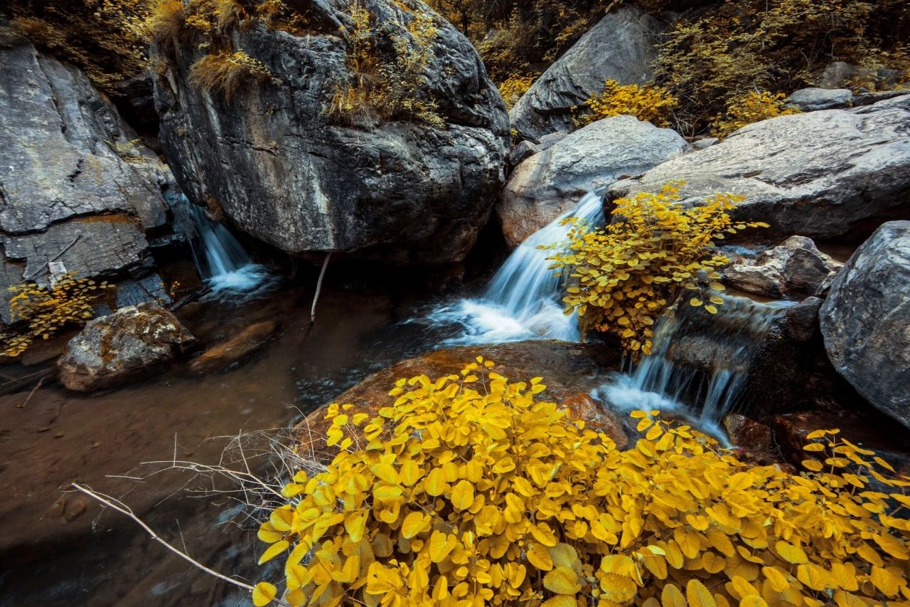 微信图片_20191127104648