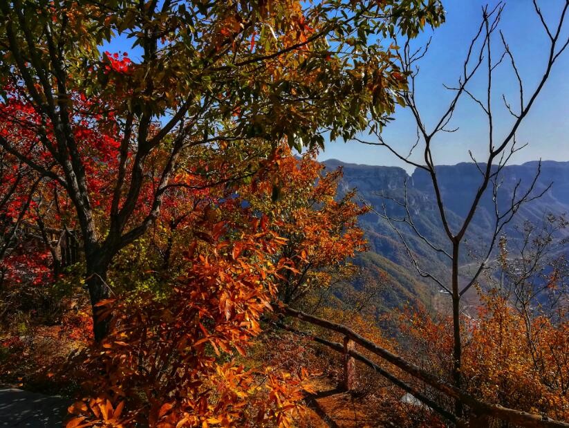 微信图片_20191028095403