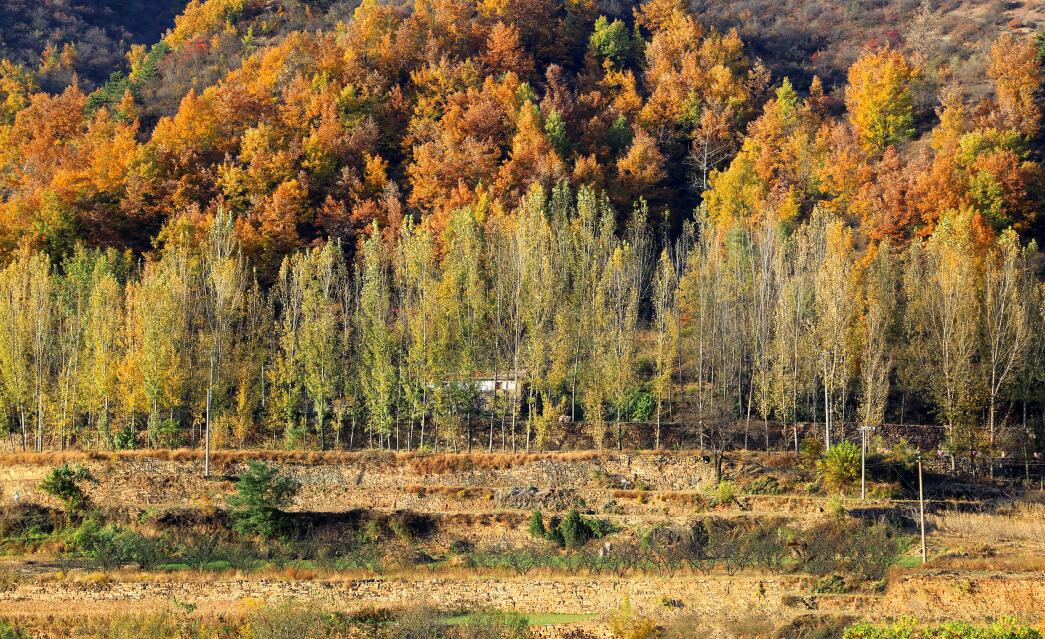 QQ截图20191015101337