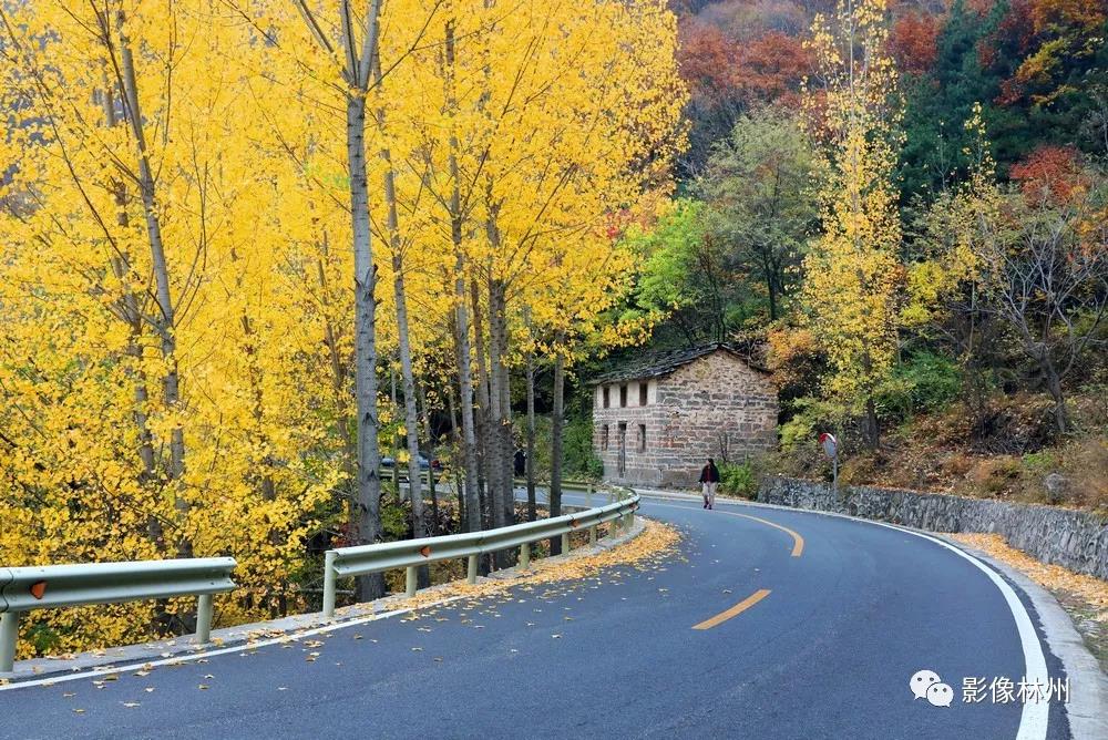 微信图片_20191107135750