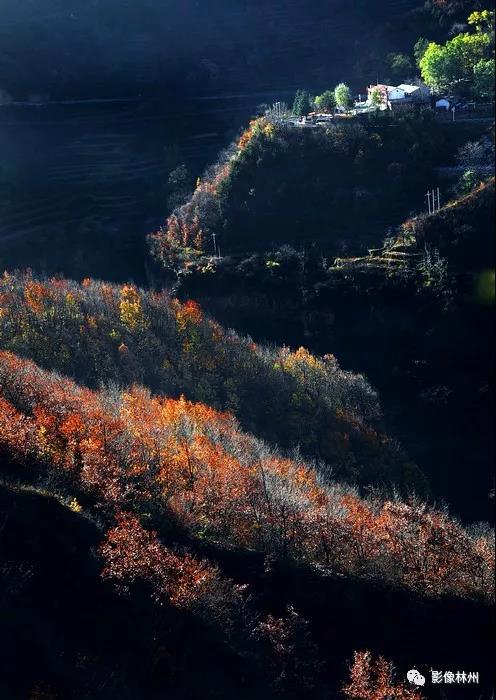 微信图片_20191114101538