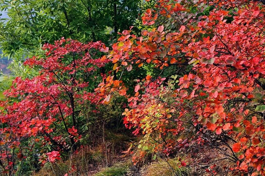 微信图片_20191028095337