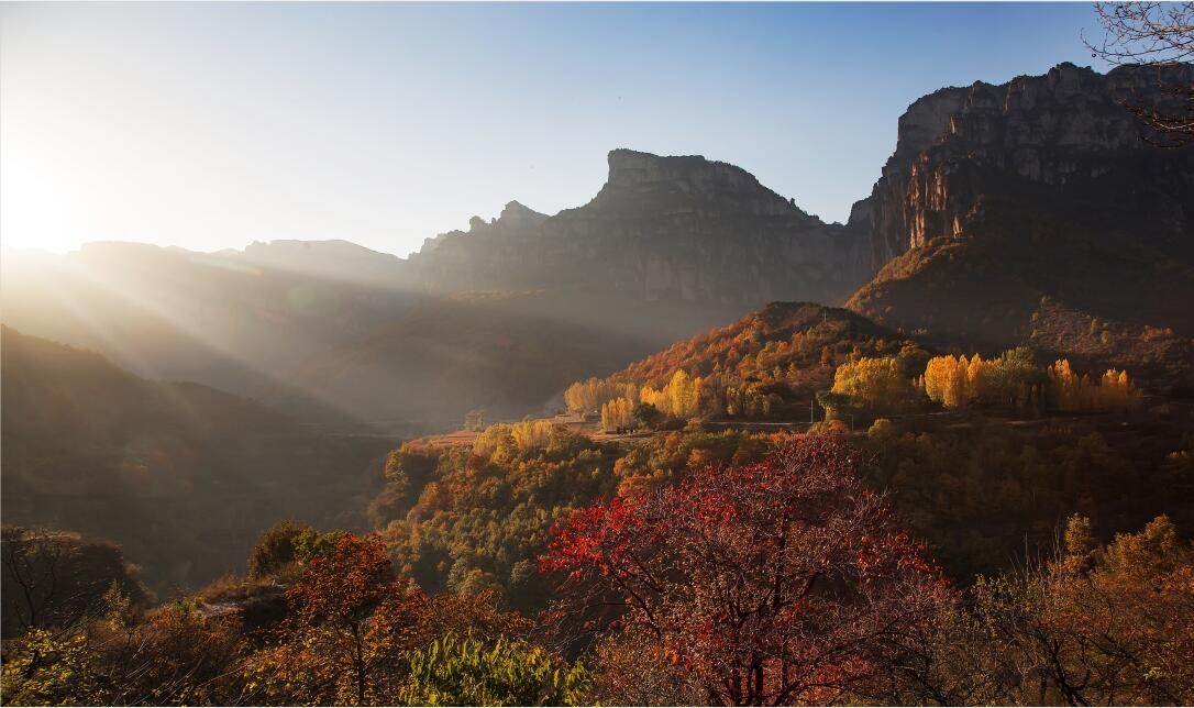 微信图片_20191119144028