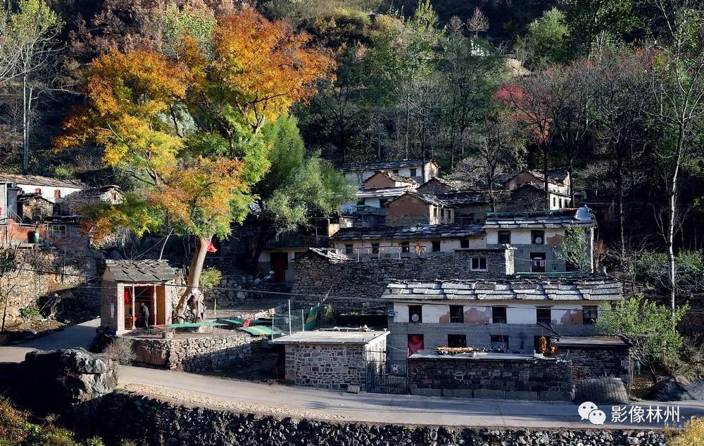 微信图片_20191114101526