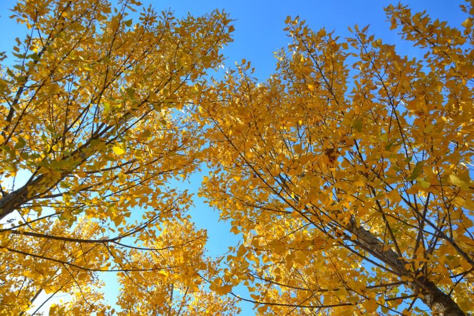 微信图片_20191028095425