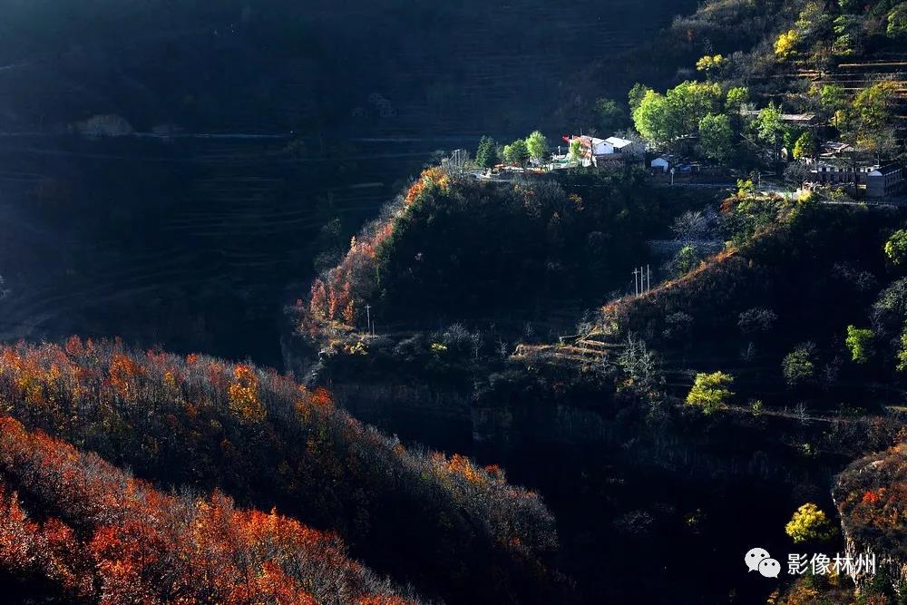 微信图片_20191114101515