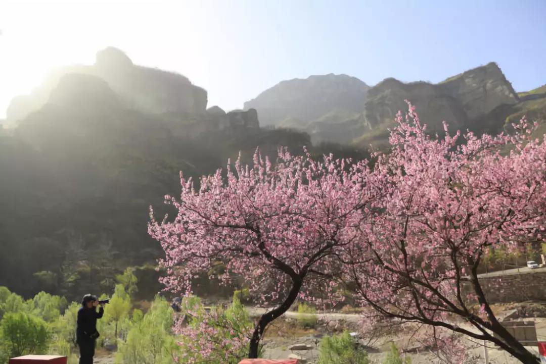 微信图片_20190920165454