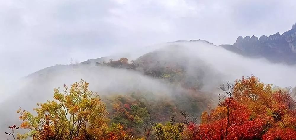 微信图片_20190927153206