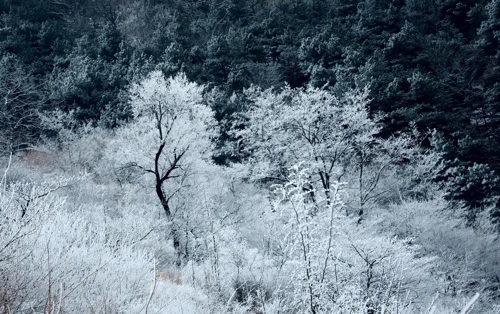 微信图片_20220121155203