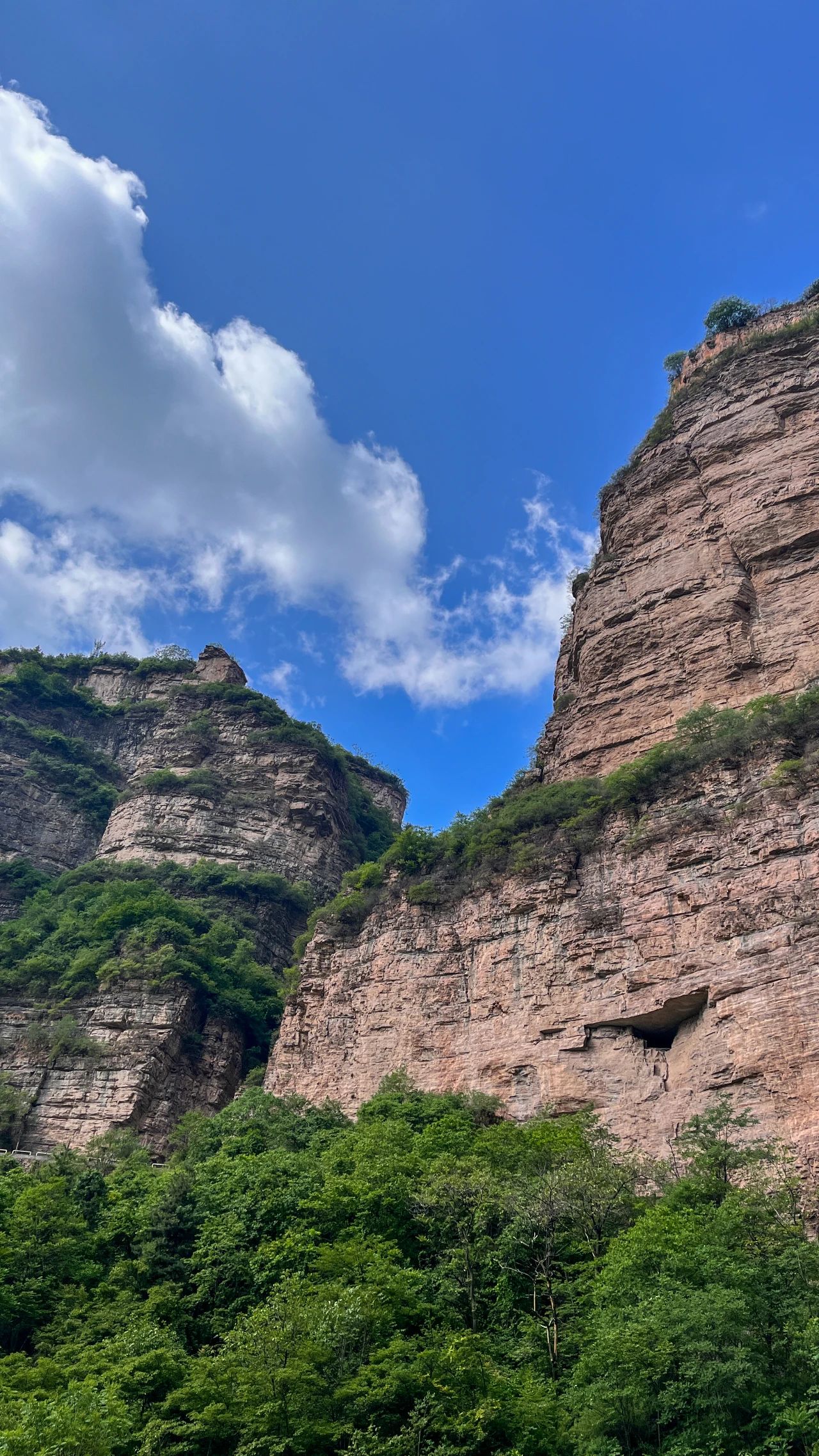 微信图片_20250606082912