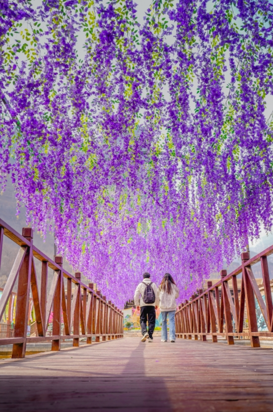 微信图片_20250522095958