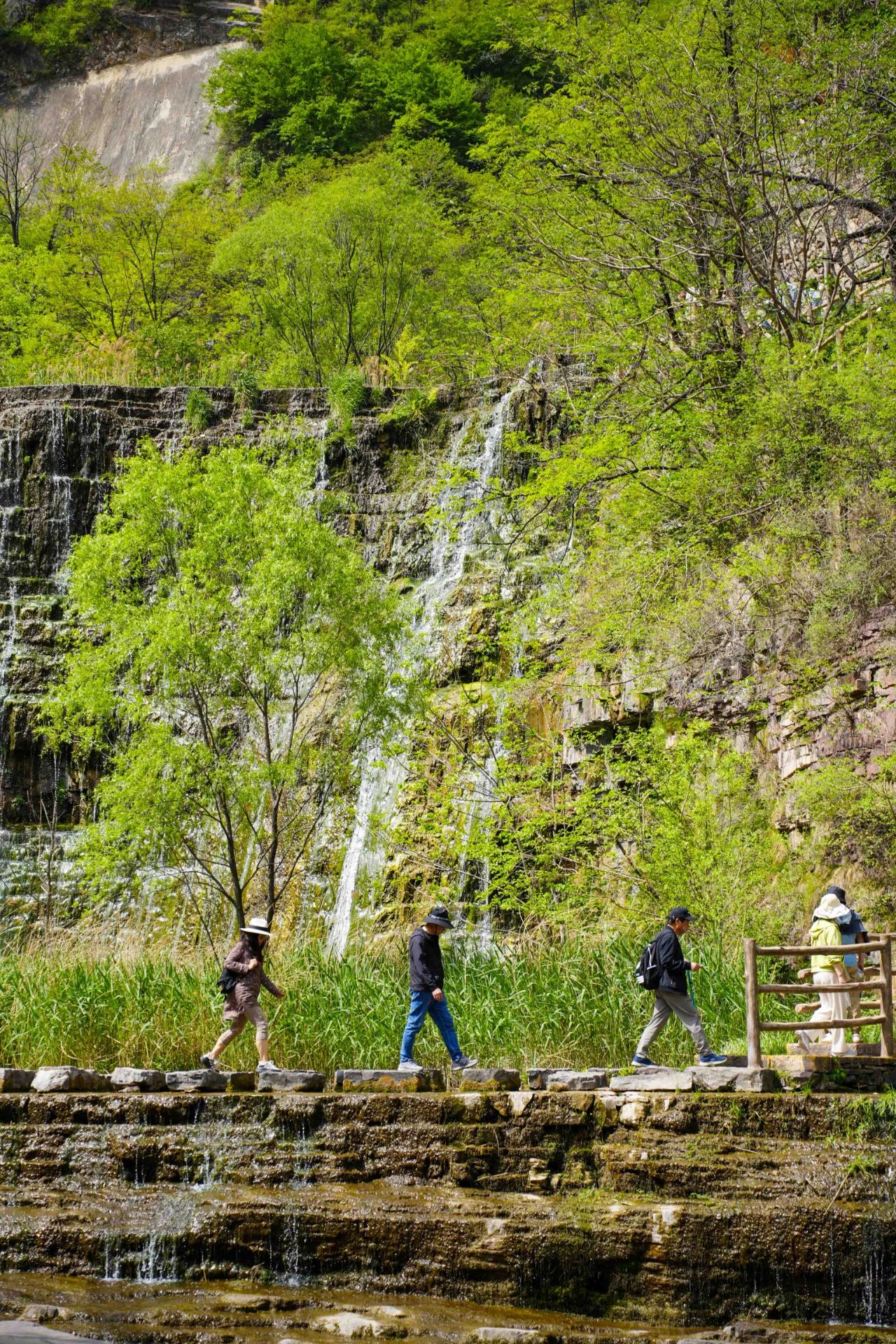 微信图片_20250512080809