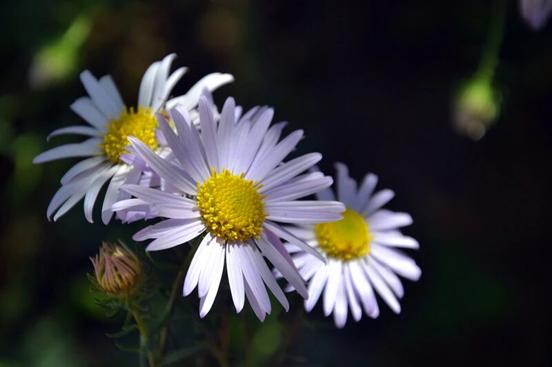 微信图片_2025-09-13_091358_179