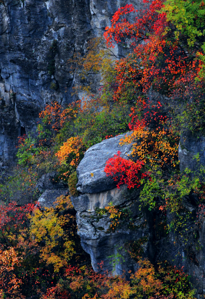 微信图片_2025-11-06_091135_987