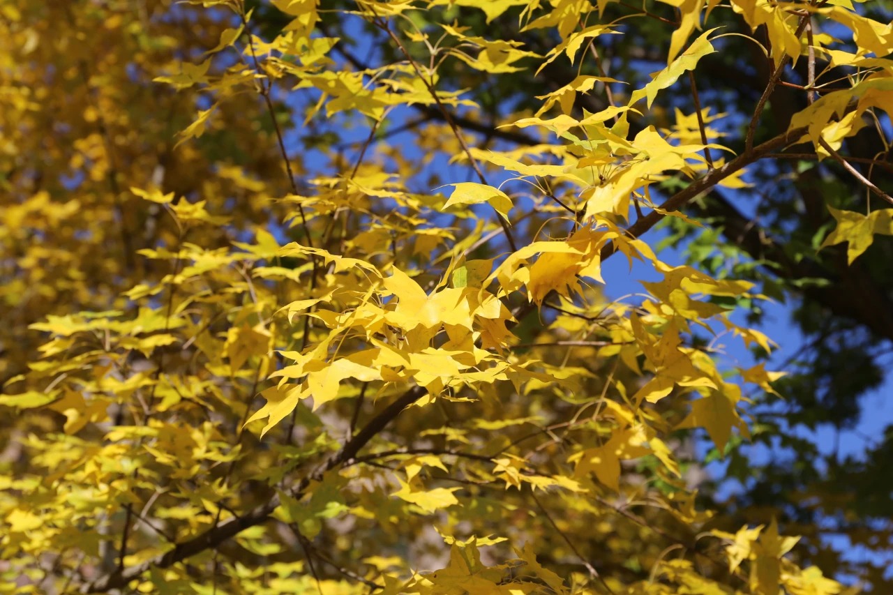 微信图片_2025-10-18_160210_191_看图王