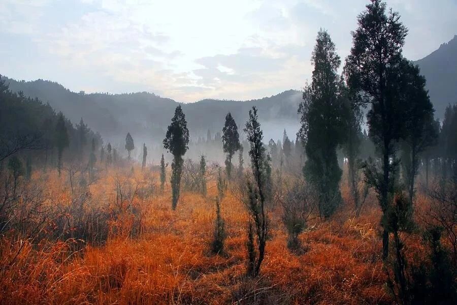 微信图片_2025-11-17_141549_520