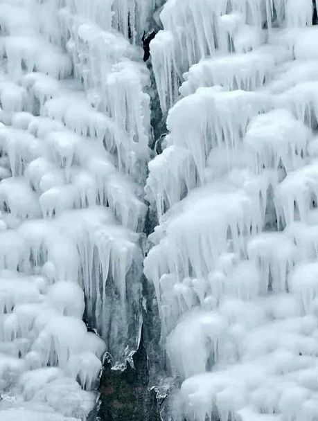 微信图片_2026-01-10_155440_838