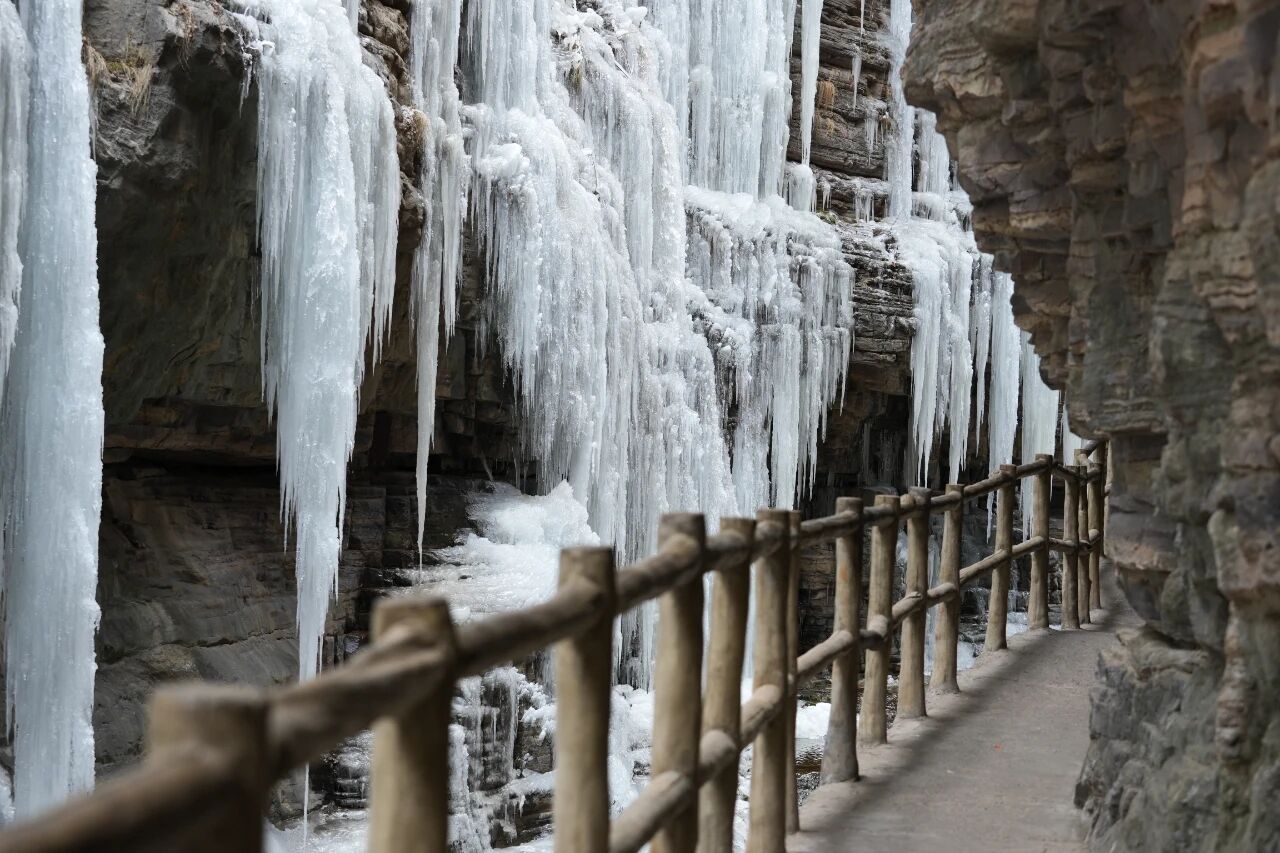 微信图片_2026-01-10_155422_869