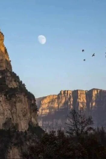 微信图片_2026-01-10_161045_094