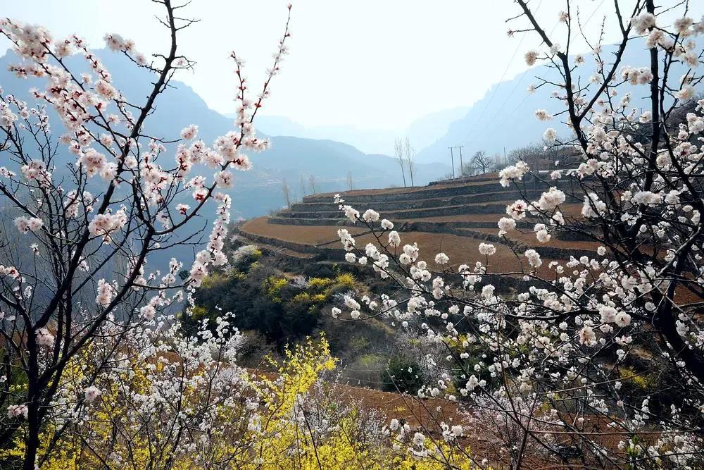 微信图片_20210413170813