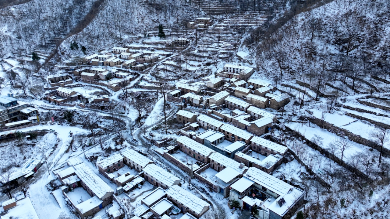 微信图片_2026-01-26_150037_207