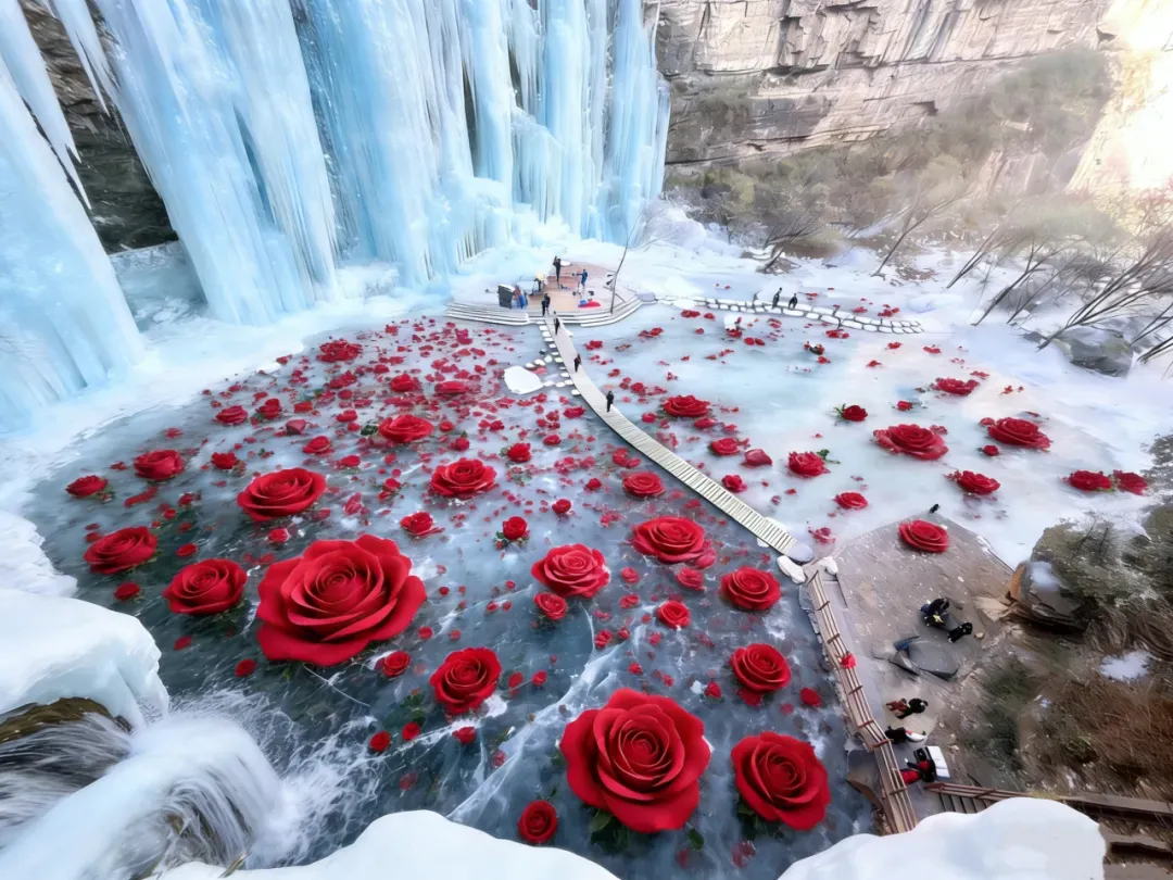 微信图片_2026-01-26_170749_281