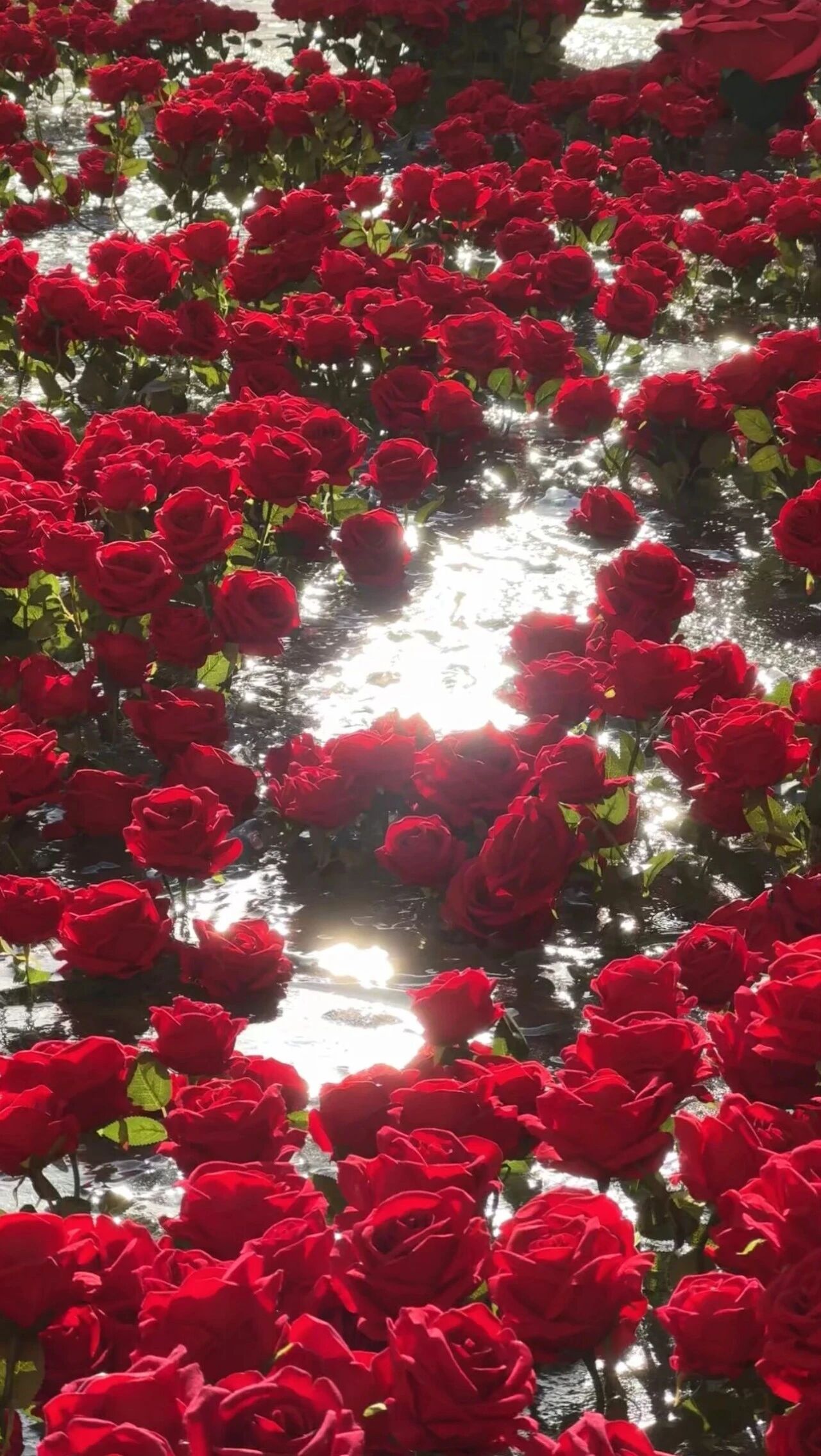 微信图片_2026-02-07_090826_678