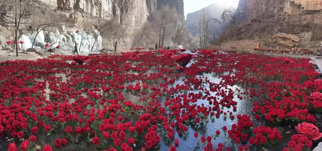 微信图片_2026-02-28_144152_763