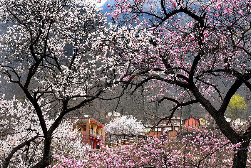 微信图片_2026-04-07_173509_071