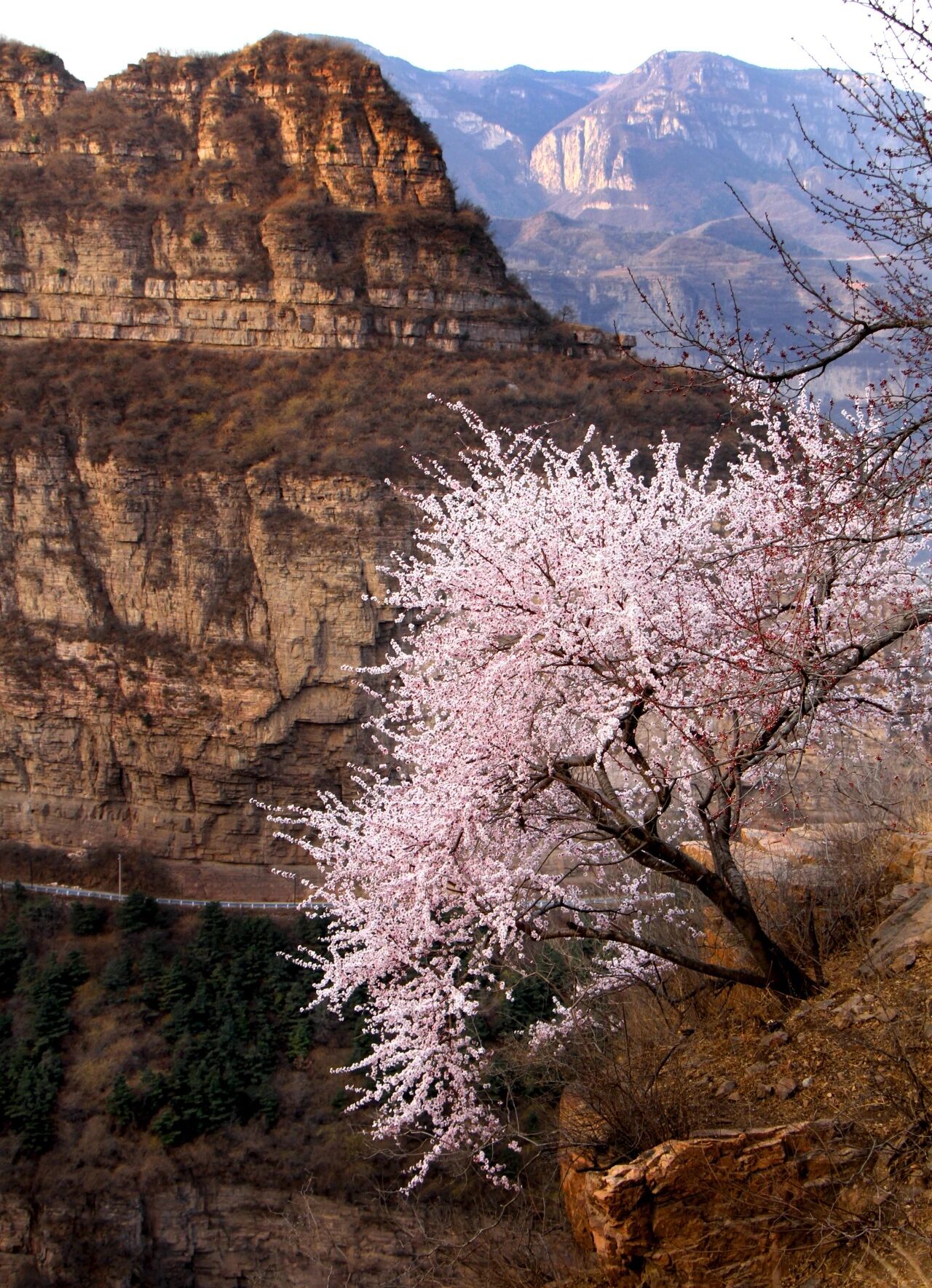 微信图片_2026-03-10_084240_464