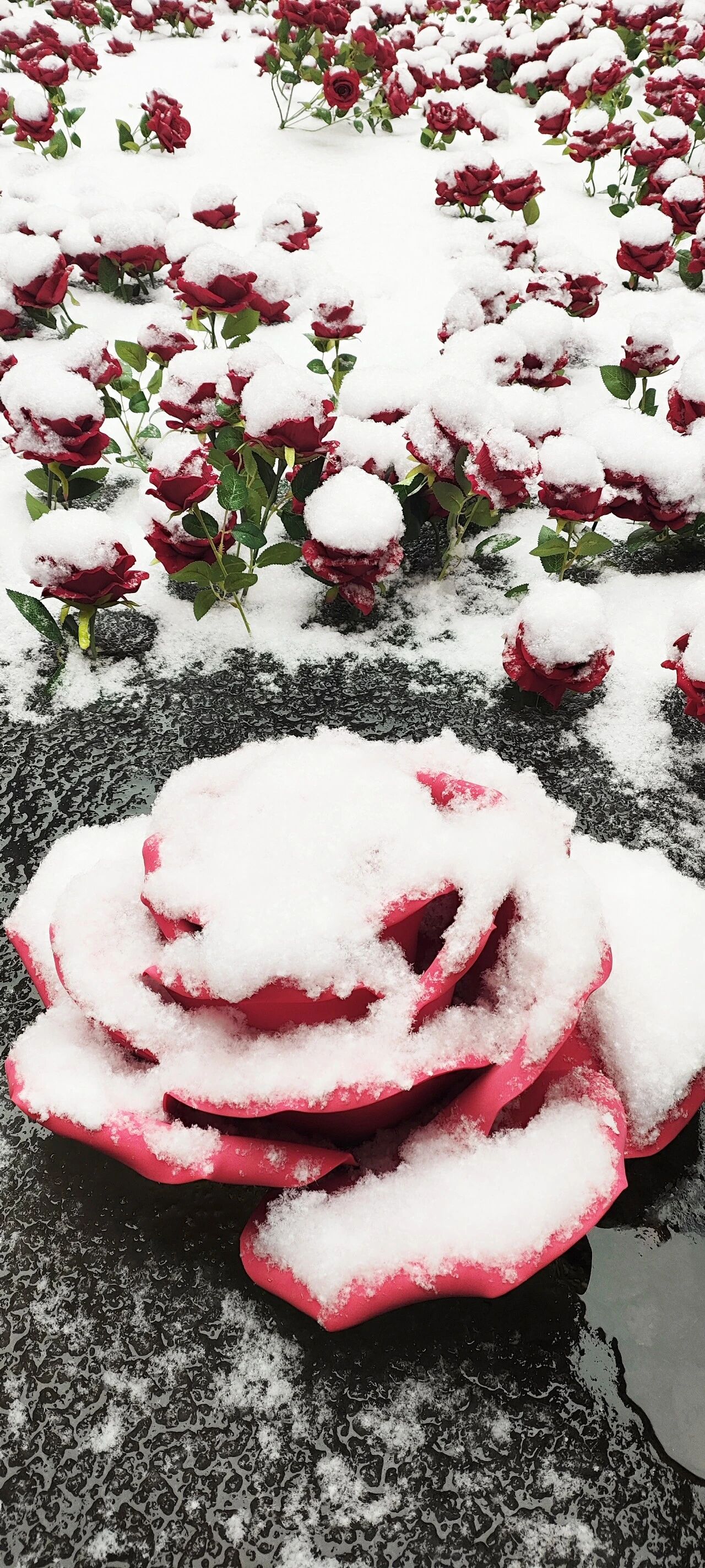 微信图片_2026-02-04_101659_016