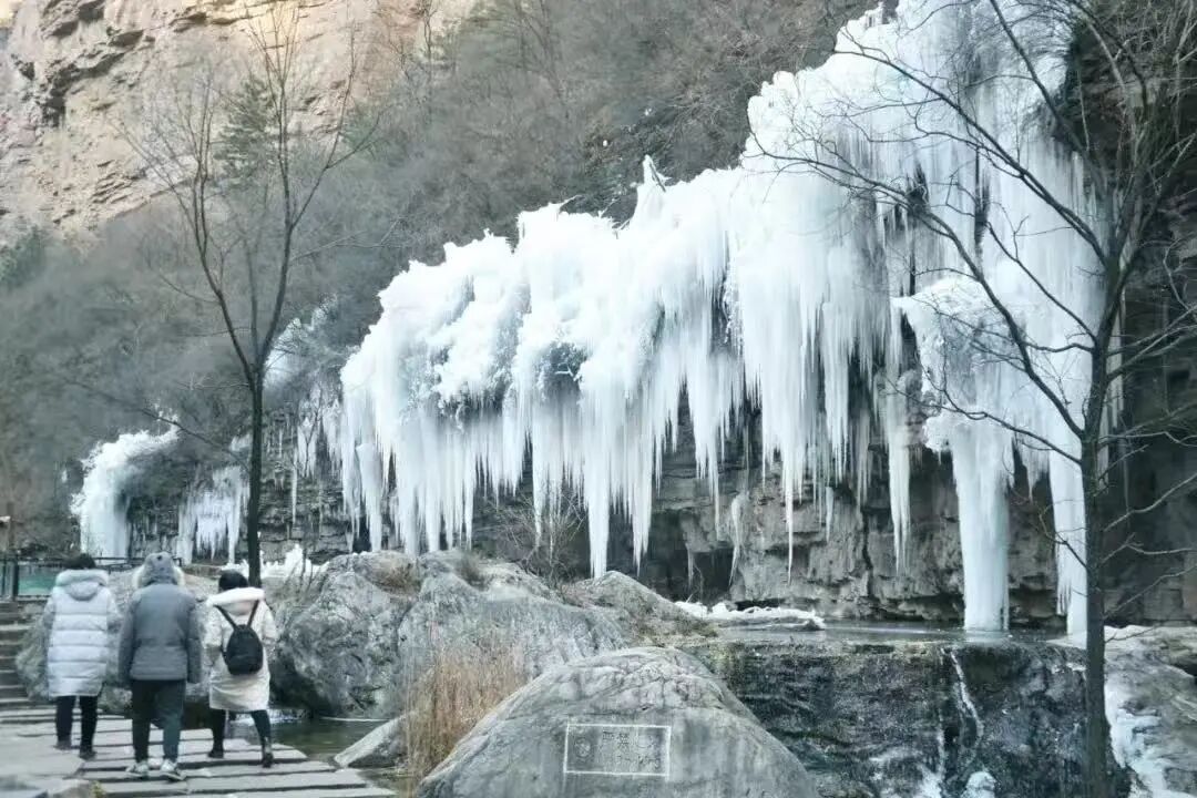 微信图片_2026-02-24_112642_149