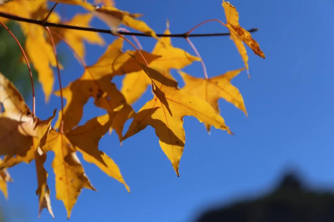 微信图片_20210810112259