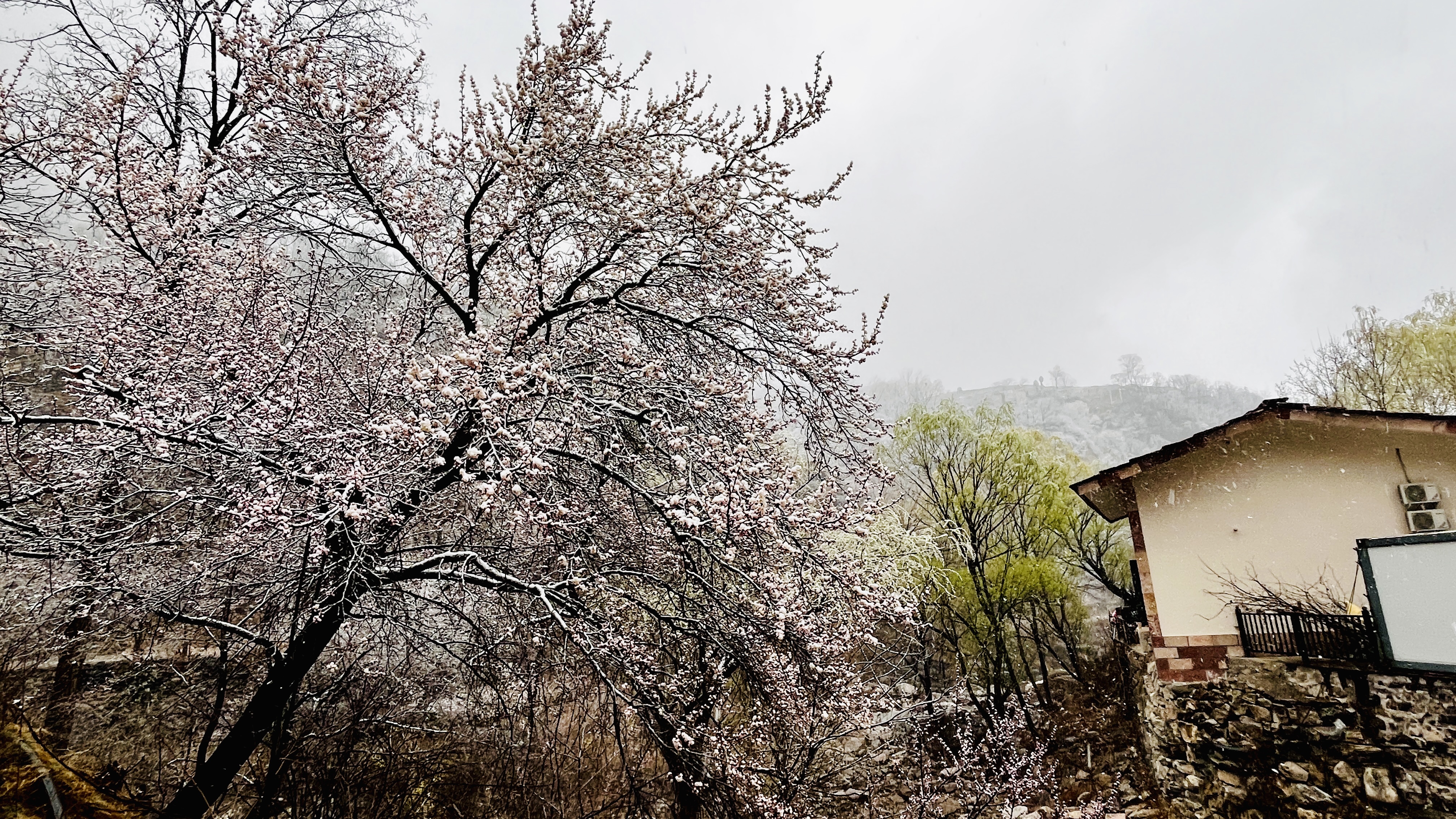 微信图片_20230317090347