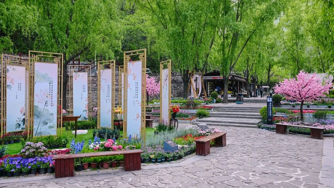 微信图片_2026-05-09_174030_498