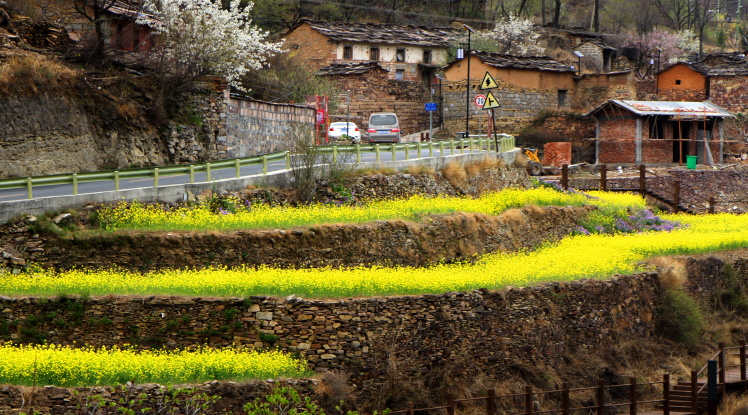 微信截图_20200416100730