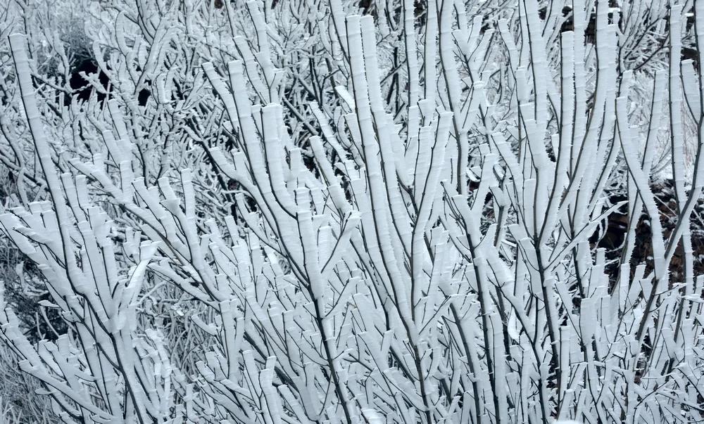 微信图片_20220121155214