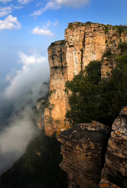 微信图片_20250512080813