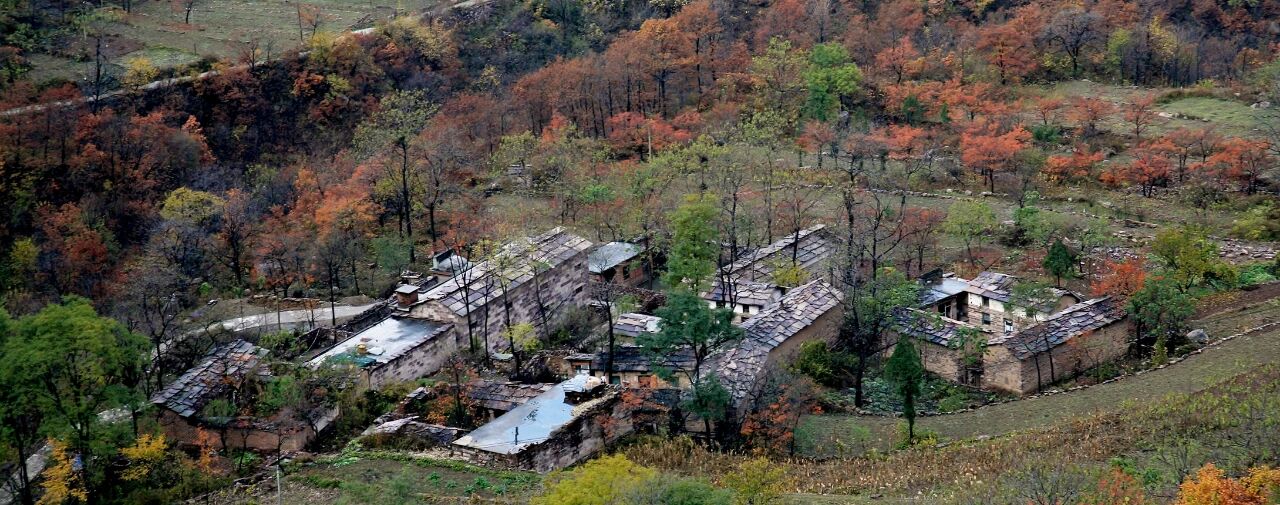 微信图片_2025-11-06_091144_370