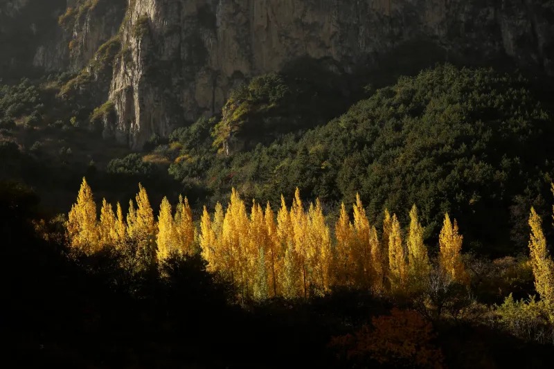 微信图片_2025-10-18_153644_842_看图王