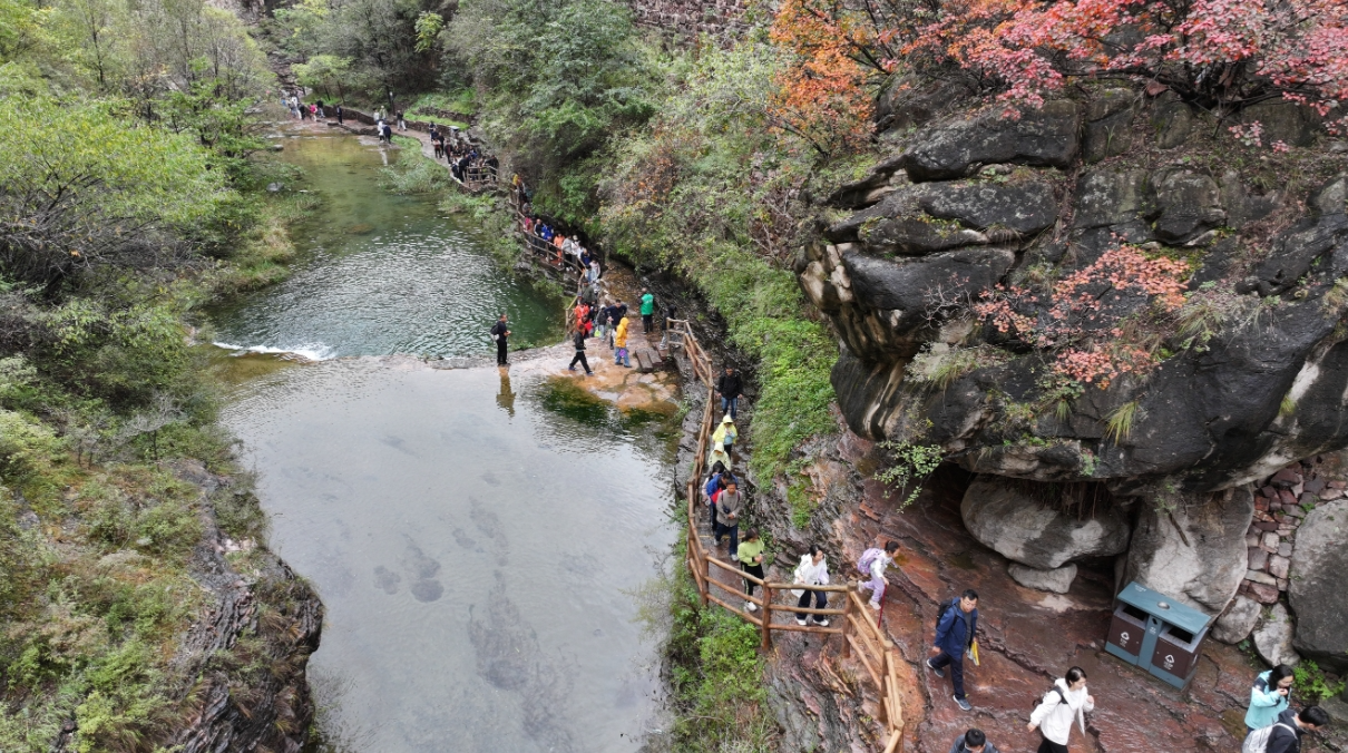 微信图片_2025-10-09_110406_455