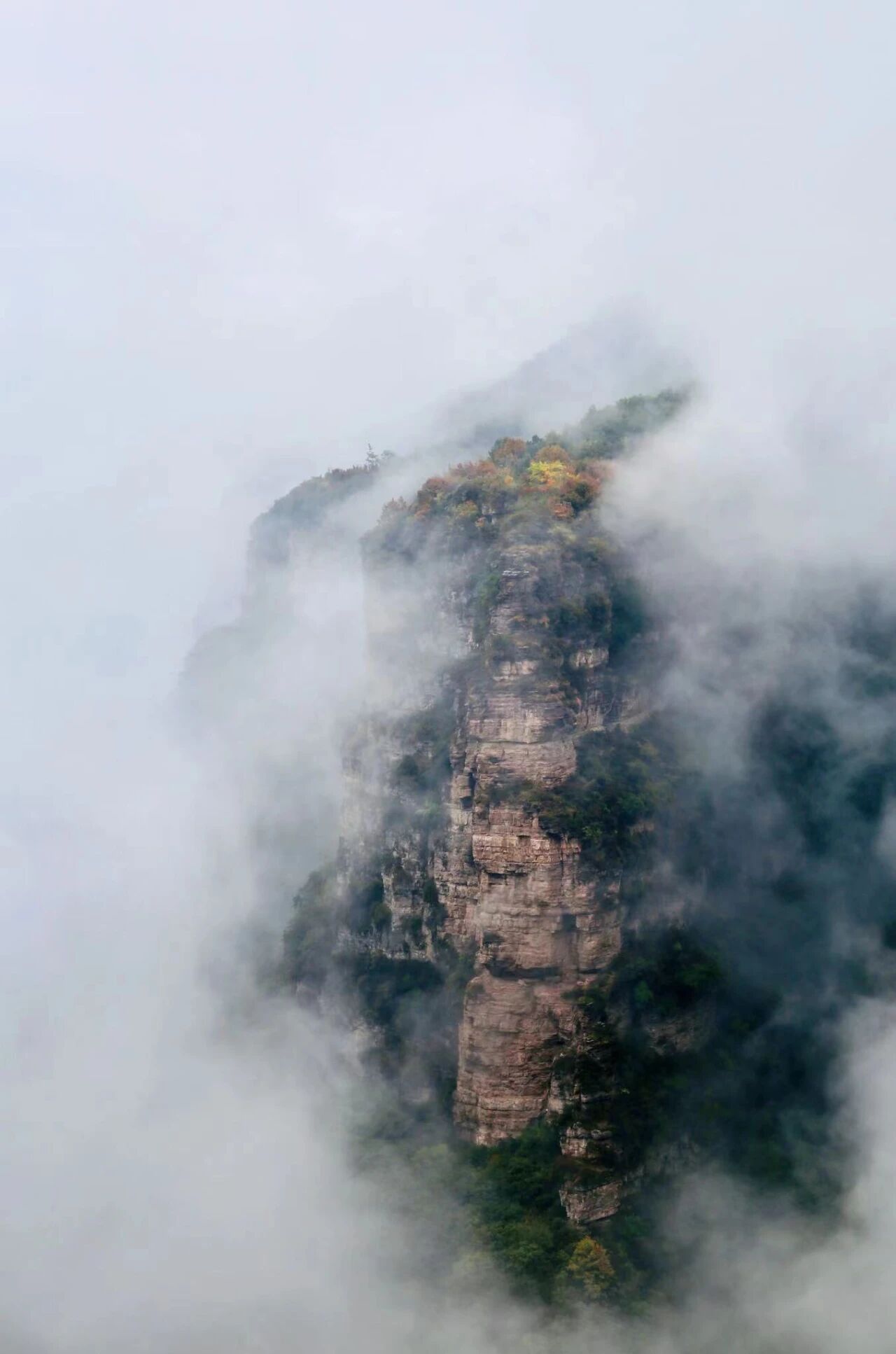 微信图片_2025-11-10_113706_086