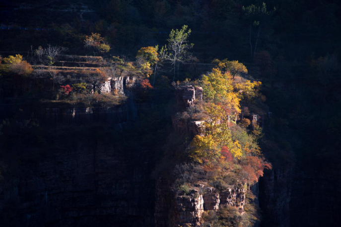 微信图片_2025-11-17_083903_954