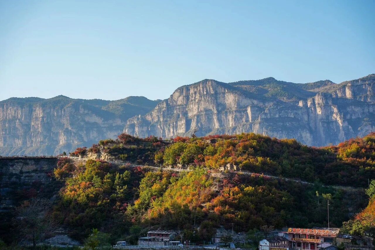 微信图片_2025-11-03_104021_868