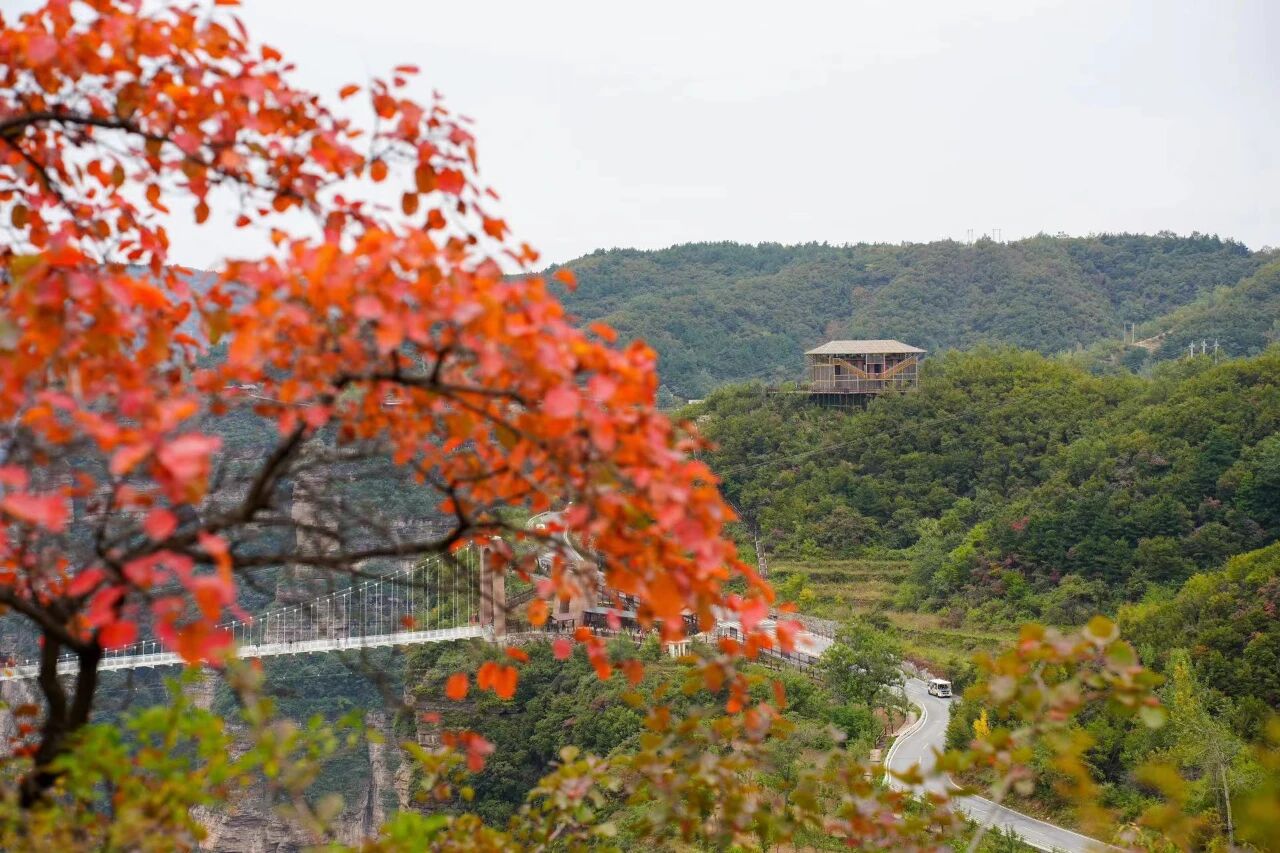 微信图片_2025-10-10_174715_406