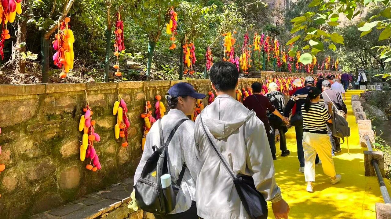 微信图片_2025-09-29_090457_869