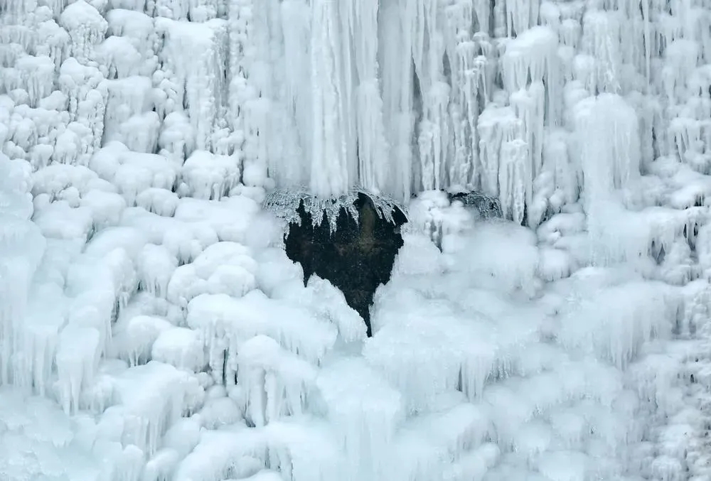 640 (1)_看图王.web