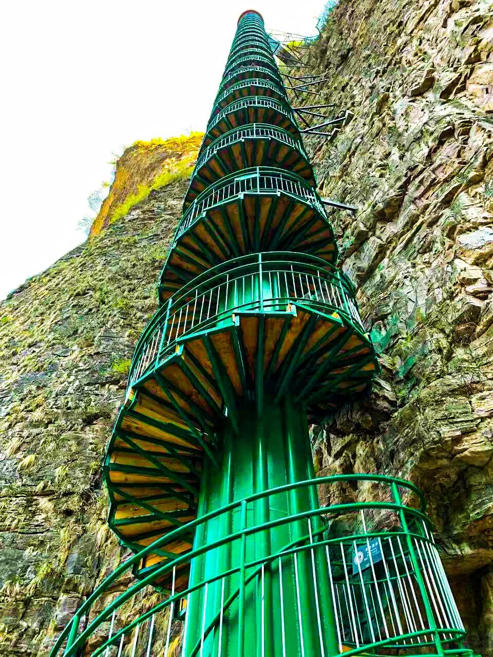 微信图片_2025-12-13_105403_175