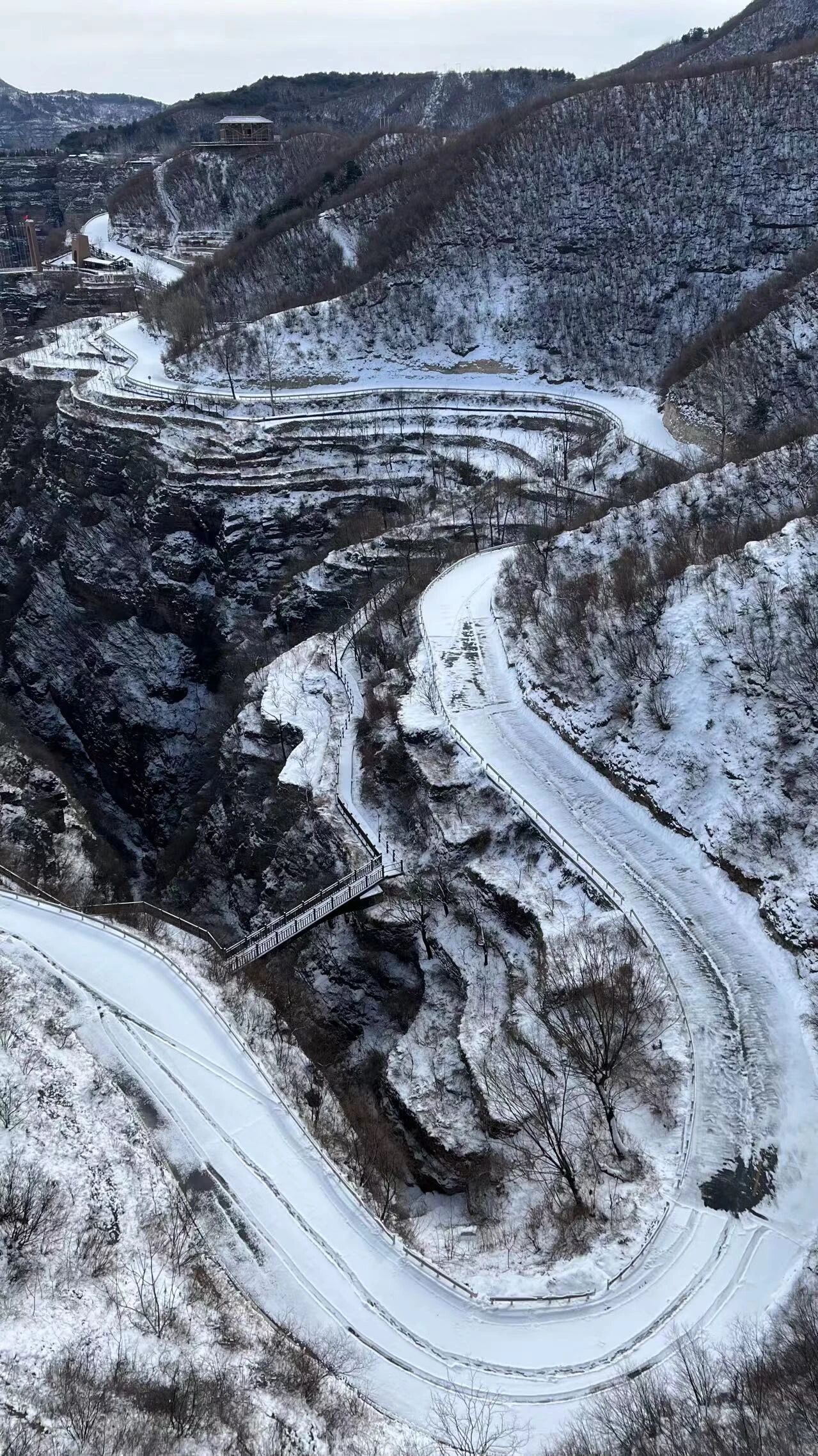 微信图片_2026-01-12_115218_206